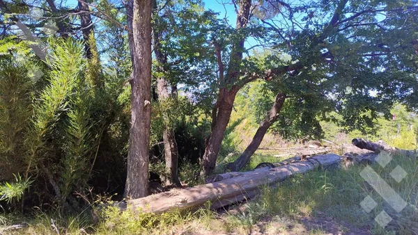 Terreno en VENTA 2 LOTES CONTIGUOS ALTOS DE KALEUCHE - SAN MARTÍN DE LOS ANDES