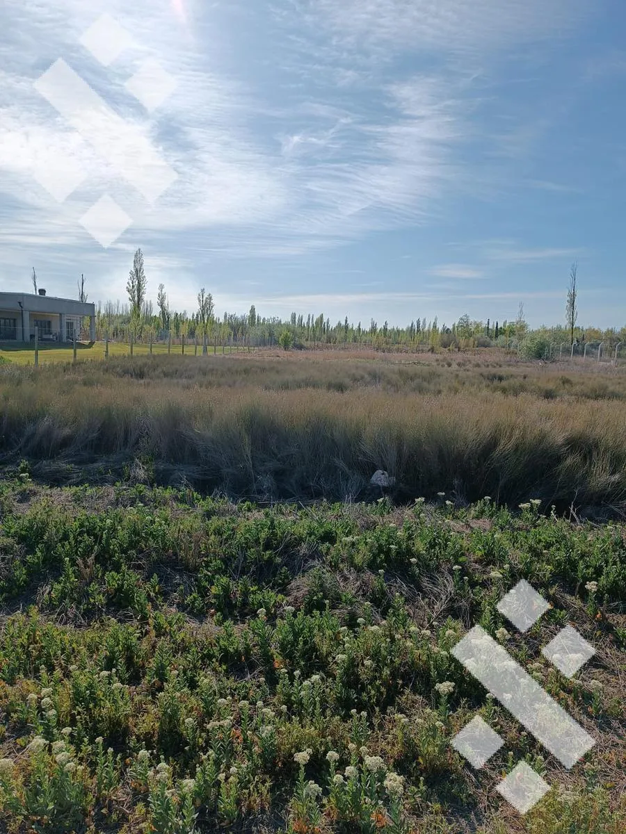 Terreno en Venta Terreno Quintas del Sauzalito, Cipolletti Rio Negro