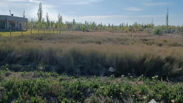 Terreno en Venta Terreno Quintas del Sauzalito, Cipolletti Rio Negro