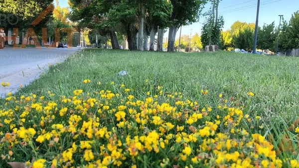Terreno en Jujuy