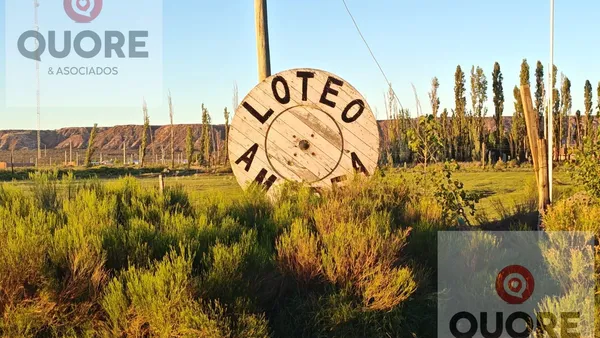 Terreno en Barrio Amedea - Lote 19 - Plottier