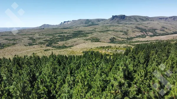 Terreno en Venta Terreno 1044 m2 - Bº cerrado El Remanso - San Martin de los Andes