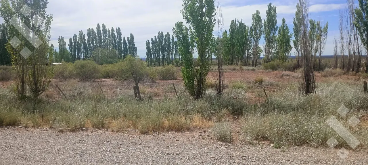 Terreno en senillosa zona productiva al 0