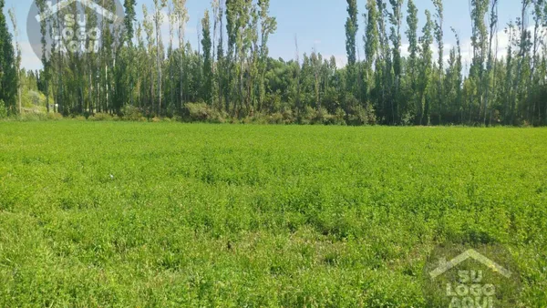 Terreno en Chacra Venta Permuta China Muerta