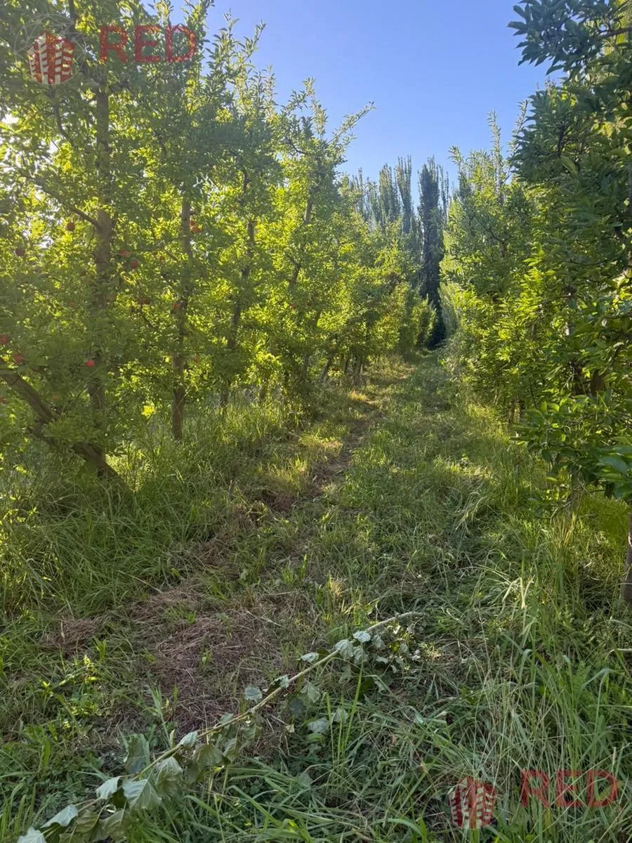 Terreno en Enrique Dalla Villa