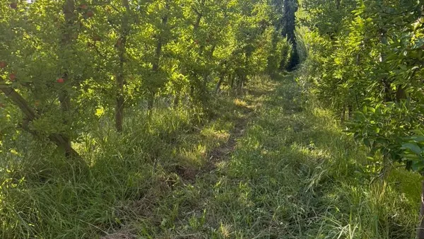 Terreno en Enrique Dalla Villa