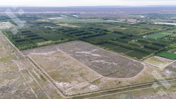 Terreno en En Venta | 36 hectáreas, ubicación estratégica| San Patricio de Chañar - Neuquén