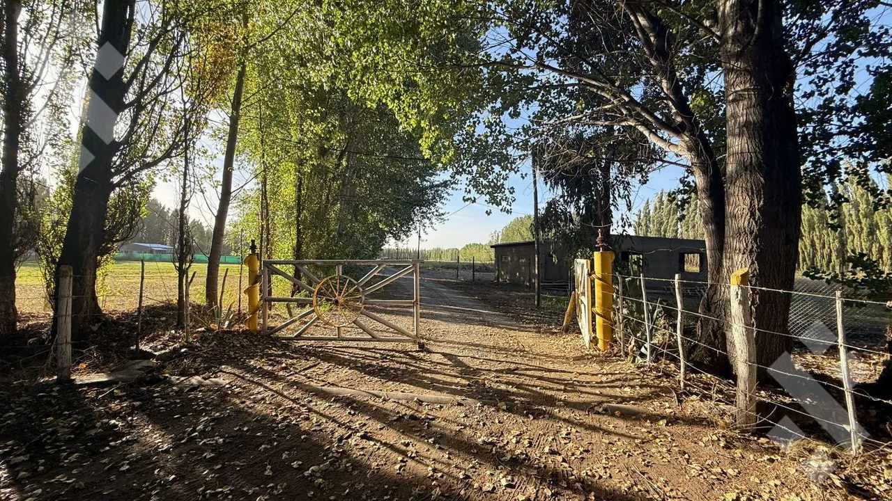 Terreno en En Venta | Lote de 5220 m2 | China Muerta | Plottier