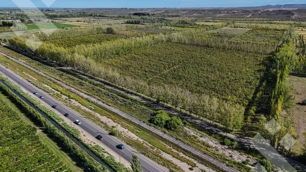 Terreno en Venta Lote 300 m2 - Loteo Jardín de Mercedes - Sobre ruta 65 - Allen