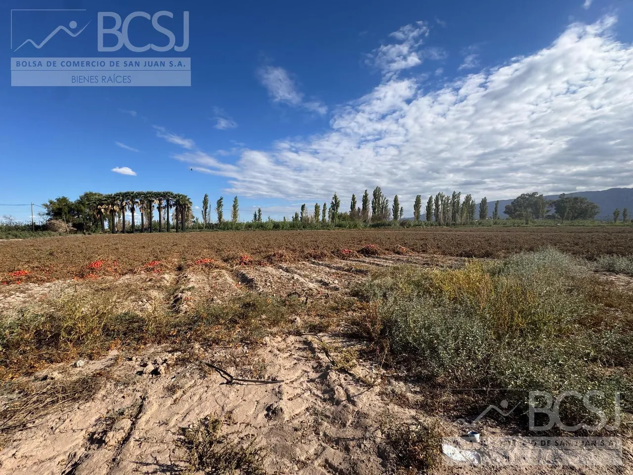 Campo en CASTRO PADIN Y RUTA 40