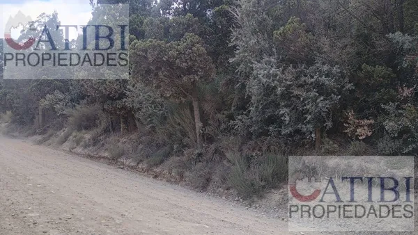 Terreno en Av. Cerro de la Ventana