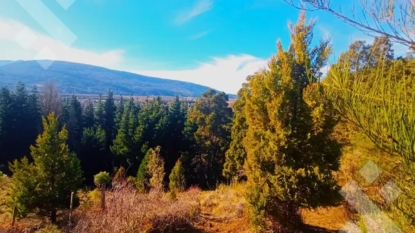 Terreno en Venta 2 lotes 18.000 m2 - Callejon de Bello - LOS RISCOS- San Martin de los Andes