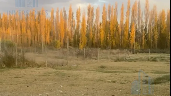 Terreno en Armedia wenger al 100
