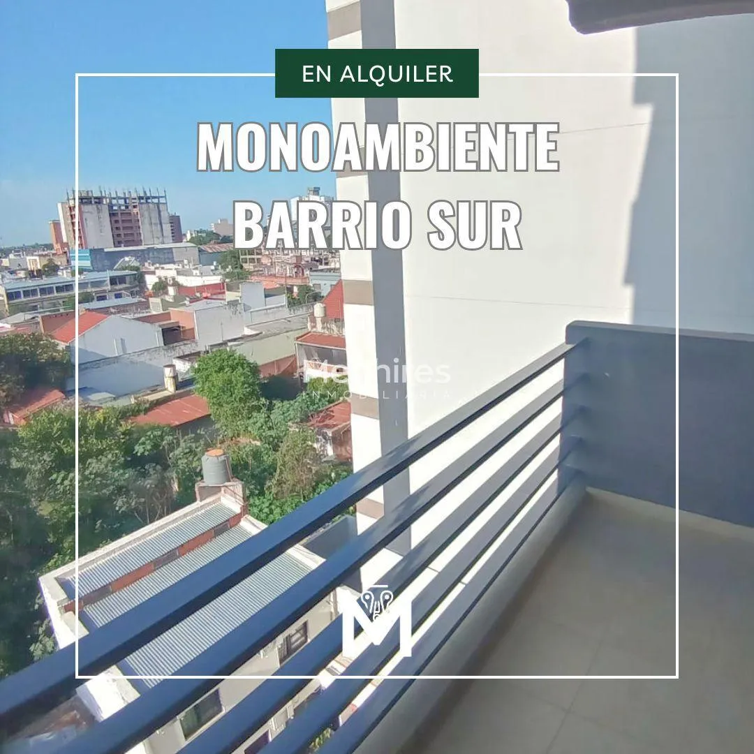 Departamento en Monoambiente en Barrio Sur - ALQUILER