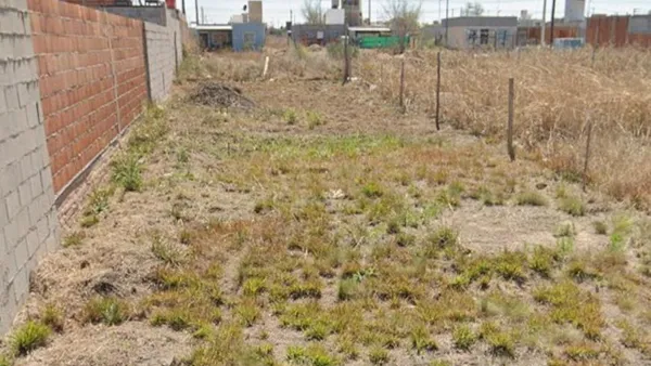Terreno