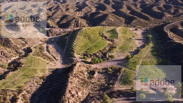 Campo en Calle Olavarría, Perdriel, Luján de Cuyo