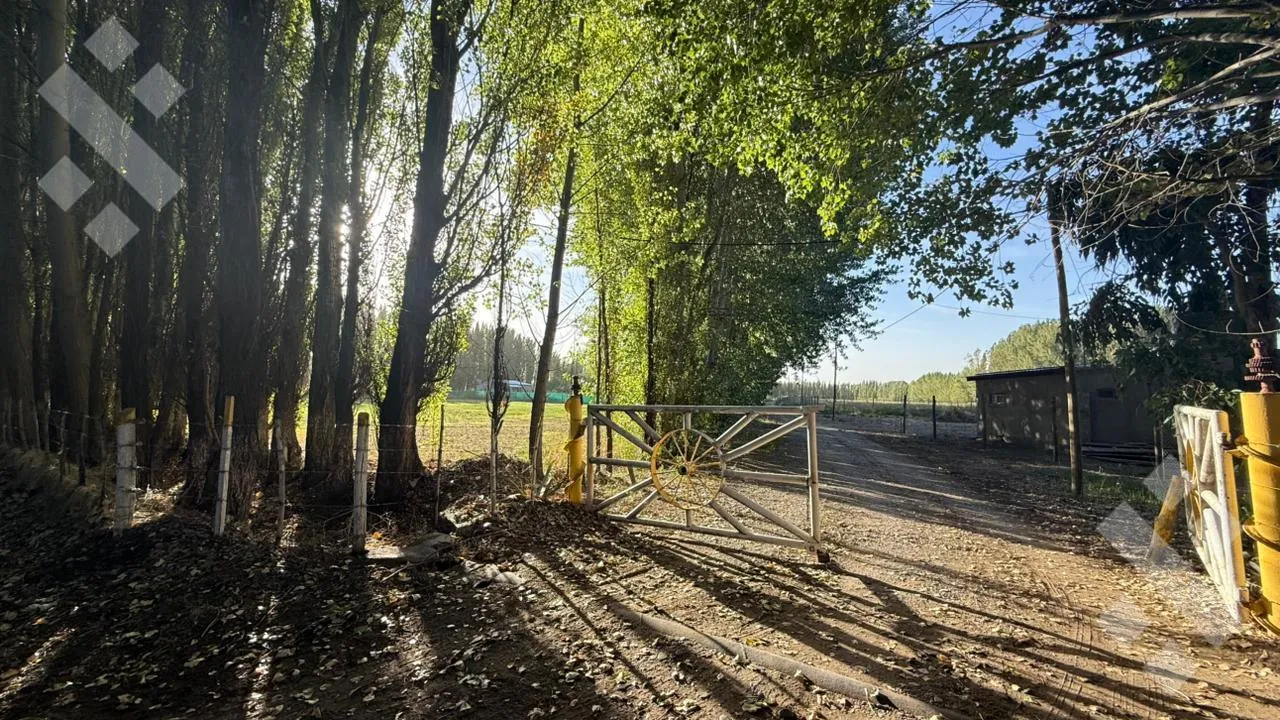 Terreno en En Venta | Terreno en China Muerta | Plottier