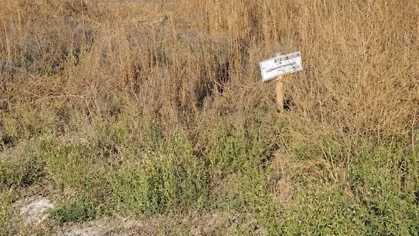 Terreno en Rio deseado