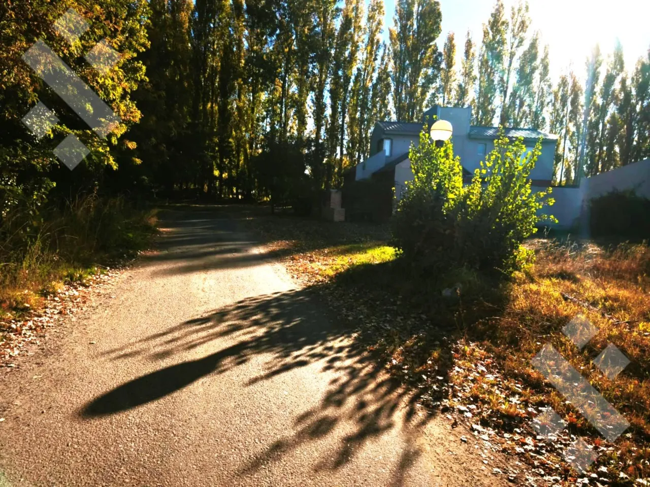 Terreno en Venta Lote/Terreno, Barrio Los Cerezos 1, Plottier, Lote 17 de la Manzana 11