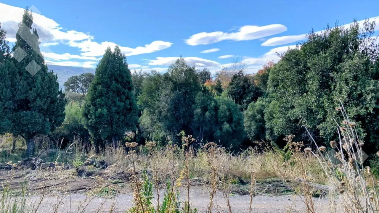 Terreno en Venta Terreno 780 m2 - loteo "Los Charitos" - Barrio Los Riscos, San Martin De Los Andes