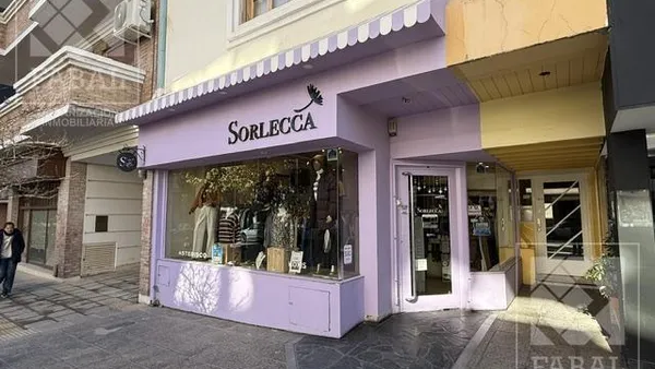 Local Comercial en Roca al 100