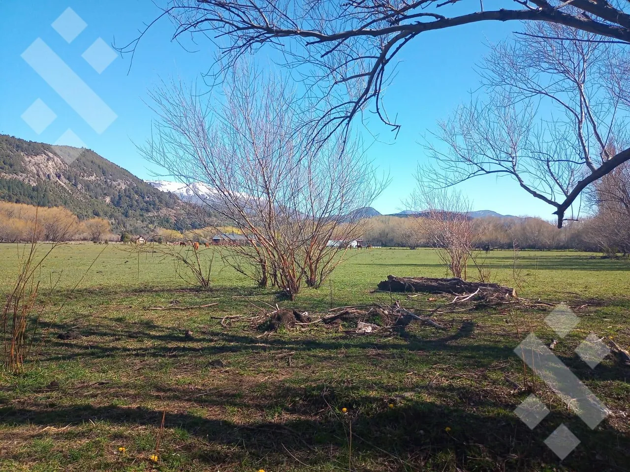 Terreno en Venta 8 hectáreas - B.º La Cascada - Callejón de Bello - San Martin de los Andes