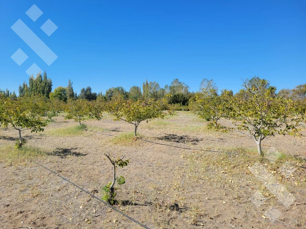 Terreno en VENTA Lote 2440 m2 - Zona AFR Nueva Esperanza, Senillosa