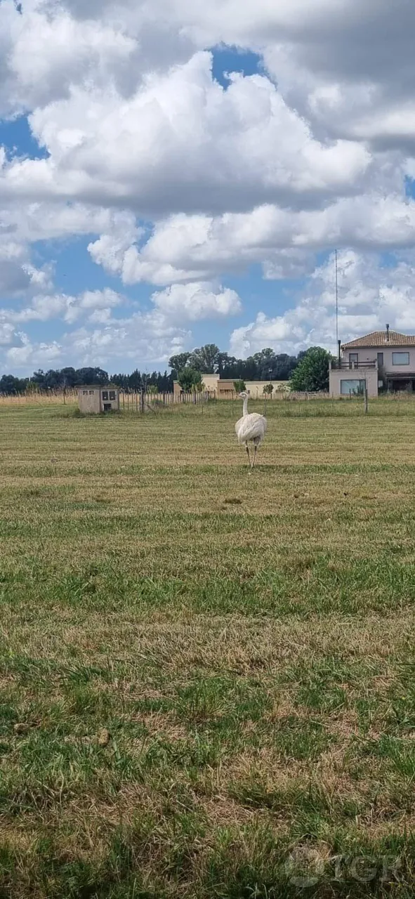 Terreno en Ruta 2 al 91