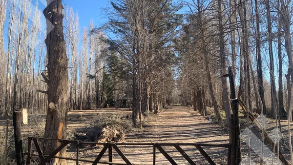 Terreno en Venta de 4 has en Plottier - Candolle y Winter