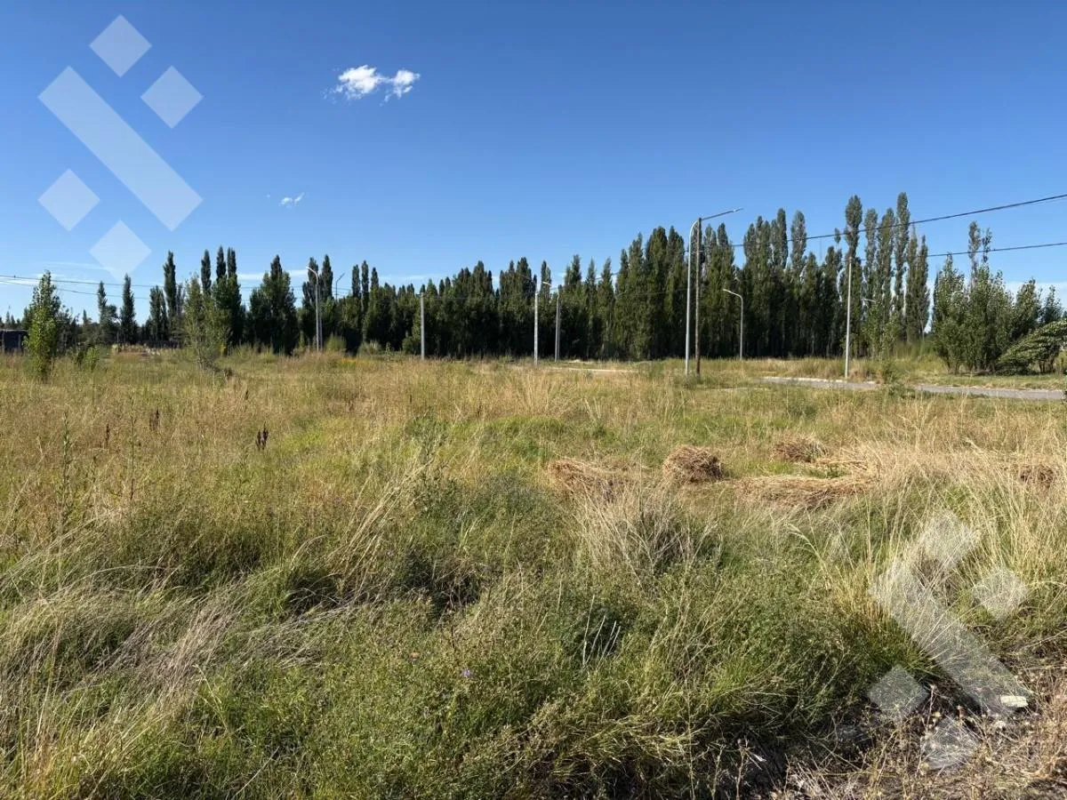 Terreno en En Venta | Lote de 360 m2 | Lote Comercial | Barrio Los Cedros III | Plottier