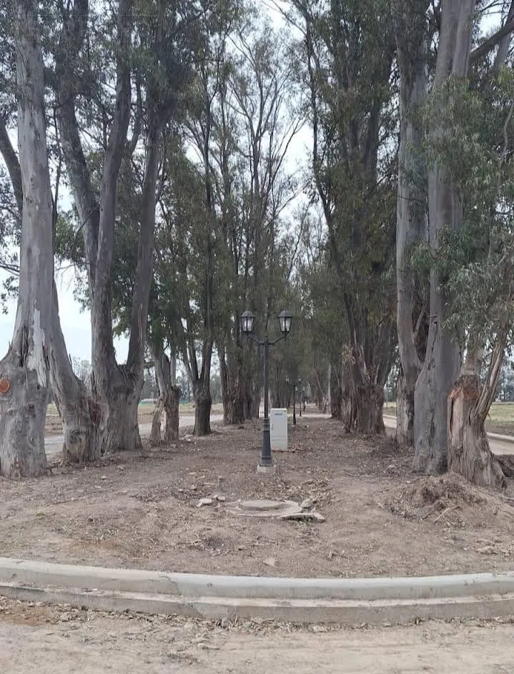 Terreno en JHO. Venta lote en Santa Sofia Pilar del Este enfrente al barrio Santa Elena.