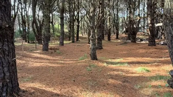 Terreno en Orquideas e/ 6 y 7