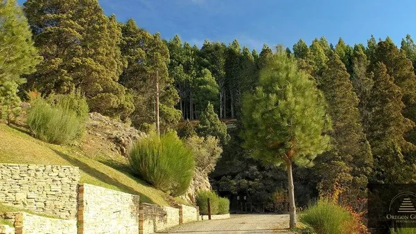 Terreno en La Jauría Lote 1