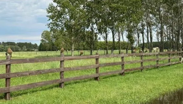 Terreno en FES. Venta 1 Hectárea en la Macarena Polo, Capilla del señor