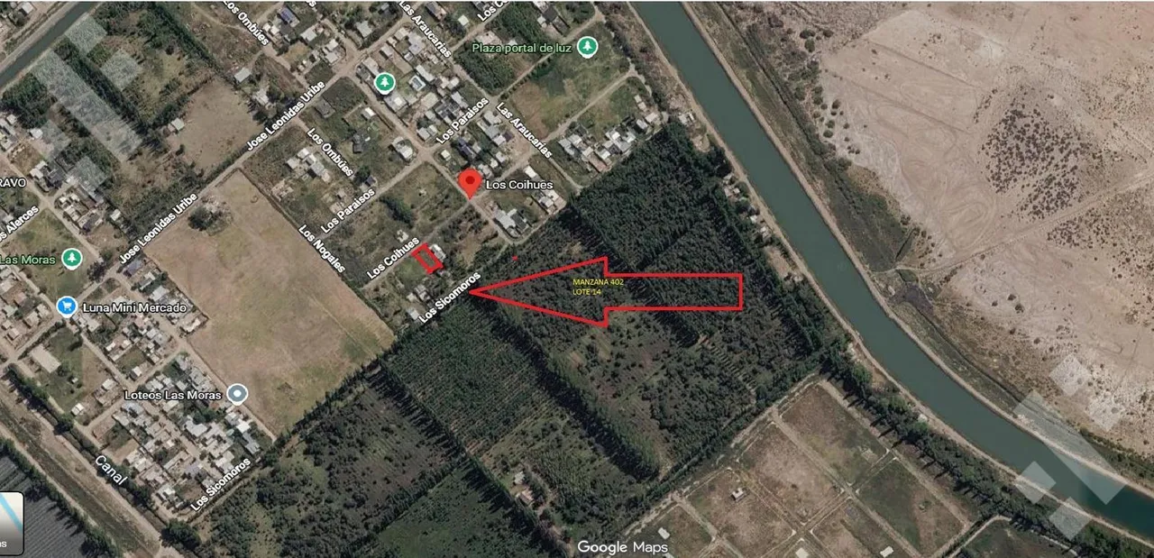 Terreno en Los Colihues esquina Los Nogales Manzana 402 Lote 14