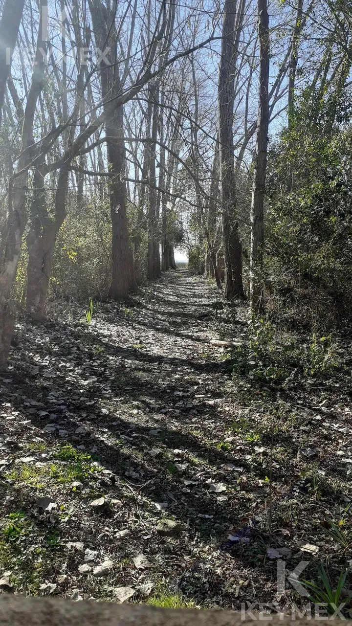 Terreno en ISLA SANTIAGO, ENSENADA al 1100