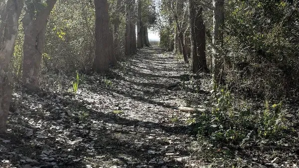 Terreno en ISLA SANTIAGO, ENSENADA al 1100