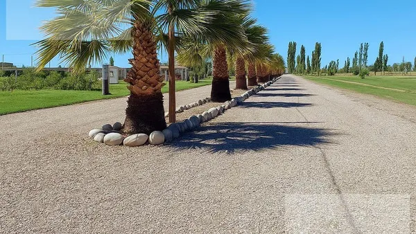 Terreno en El Toledano al 600
