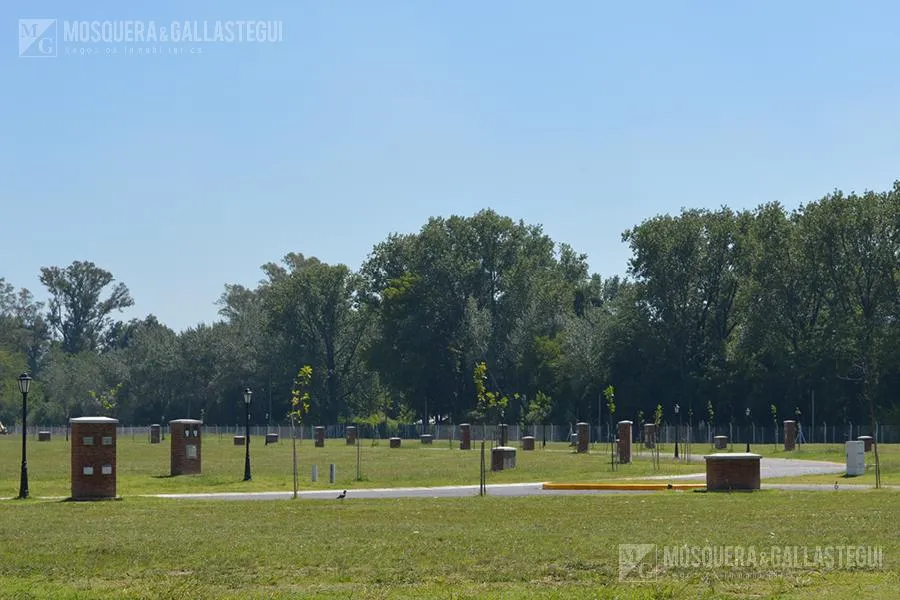 Terreno en San Pablo Chico al 100
