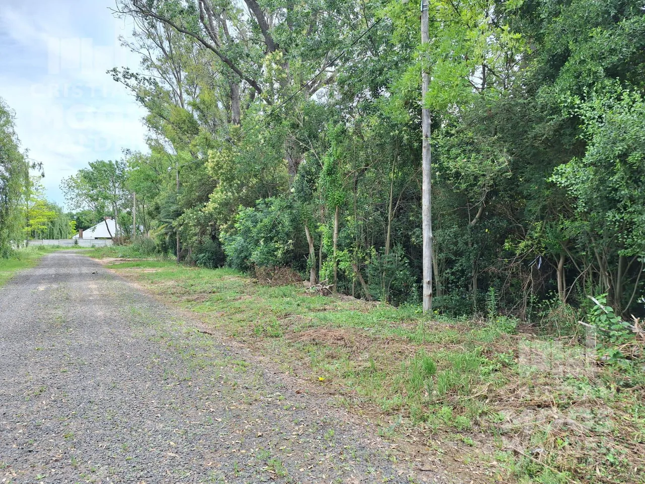 Terreno en olivetti y del progreso