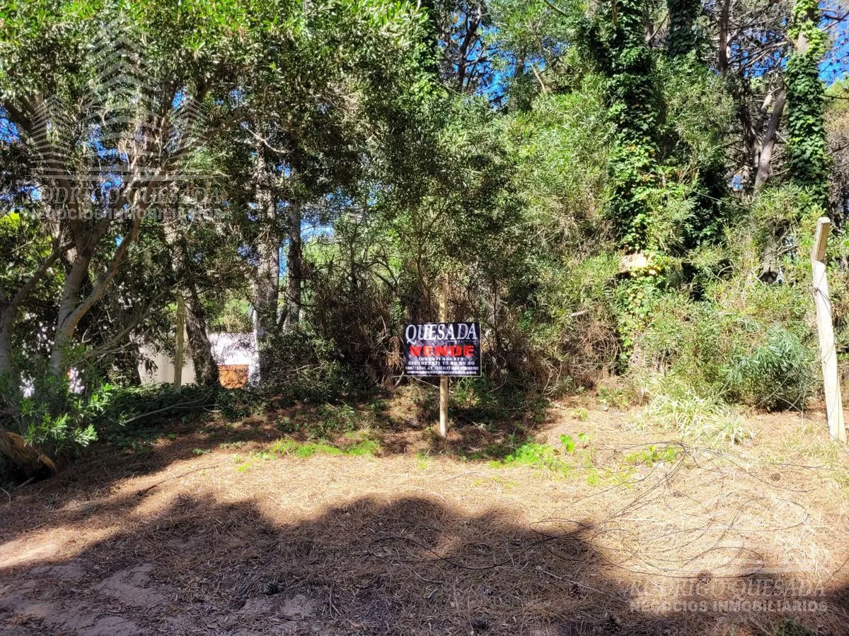 Terreno en Las Rosas e/Tulipanes y Jazmines