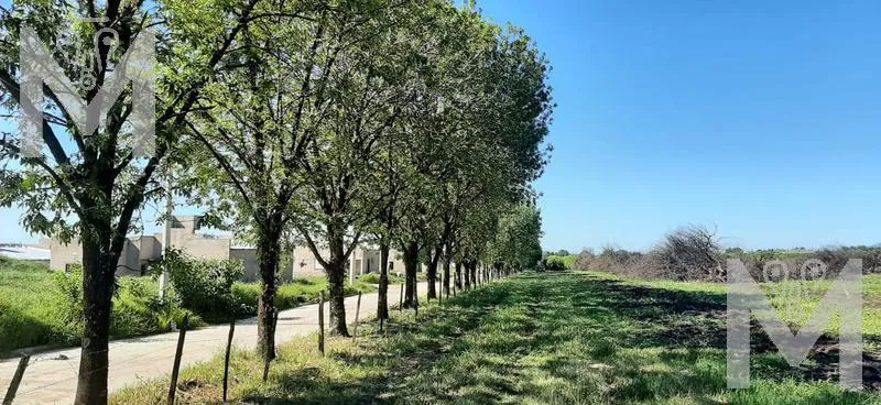 Terreno en Cevil Redondo