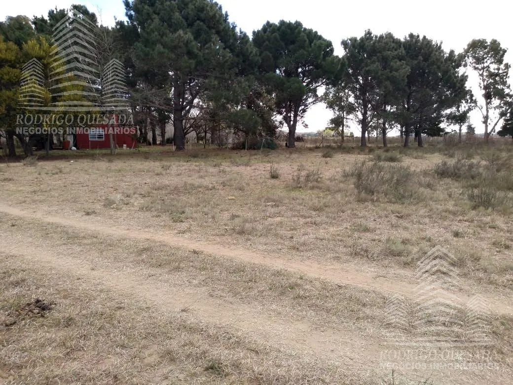 Terreno en Calle El Cangrejo- Paraje Pavon-