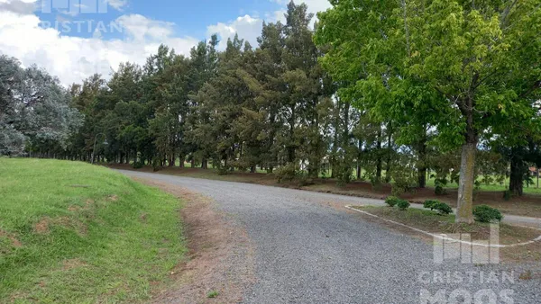 Terreno en Ruta 4 km 3,5